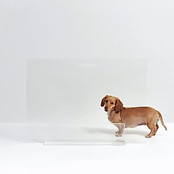 Hiddin Tall Clear View Panel Freestanding Dog Gate, 30-in slide 1 of 9