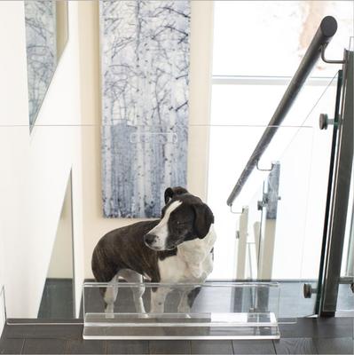 Show full view: Hiddin Tall Clear View Panel Freestanding Dog Gate, 32-in slide 6 of 9