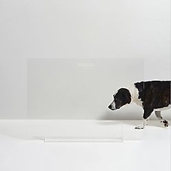 Hiddin Tall Clear View Panel Freestanding Dog Gate, 32-in