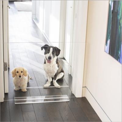Show full view: Hiddin Tall Clear View Panel Freestanding Dog Gate, 32-in slide 3 of 9