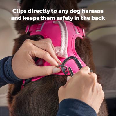 Show full view: PetSafe Safety Seatbelt Dog Tether, Black, 15 to 22-in slide 4 of 8