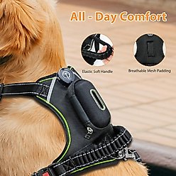 MEGAPAWS USB Rechargeable LED Light-Up Dog Harness, Medium, Green slide 2 of 8