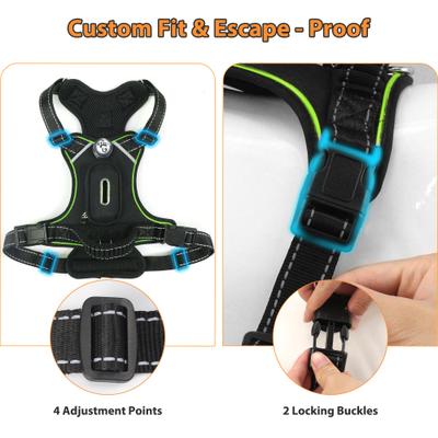 Show full view: MEGAPAWS USB Rechargeable LED Light-Up Dog Harness, Large, Green slide 4 of 9
