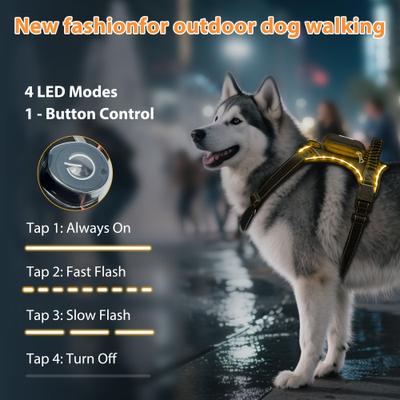 Show full view: MEGAPAWS USB Rechargeable LED Light-Up Dog Harness, Large, Yellow slide 3 of 9