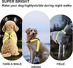 MEGAPAWS No-Pull Dog Harness with 8 Gear Color Changing LED Lights, Large slide 2 of 8