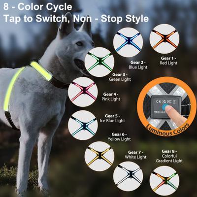 Show full view: MEGAPAWS No-Pull Dog Harness with 8 Gear Color Changing LED Lights, Small slide 4 of 12