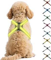 MEGAPAWS No-Pull Dog Harness with 8 Gear Color Changing LED Lights, Small
