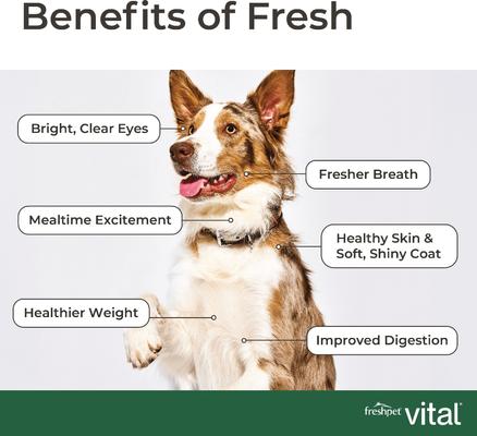 Show full view: Freshpet Vital Chicken Recipe Grain-Free Small Breed Fresh Dog Food, 1-lb bag, case of 6 slide 8 of 10