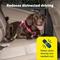 Show in main carousel: PetSafe Safety Seatbelt Dog Tether, Black, 15 to 22-in slide 2 of 8