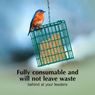 Show full view: C&S Mealworm Delight No Melt Suet Dough Wild Bird Food, 11.75-oz tray, 1 count slide 4 of 12