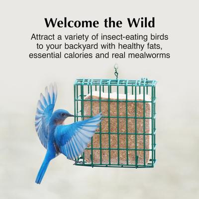 Show full view: C&S Mealworm Delight No Melt Suet Dough Wild Bird Food, 11.75-oz tray, 1 count slide 3 of 12