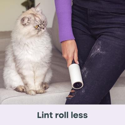 Show full view: Uproot Clean Pet Hair Reducing Dryer Sheets, 50 Sheets slide 6 of 9