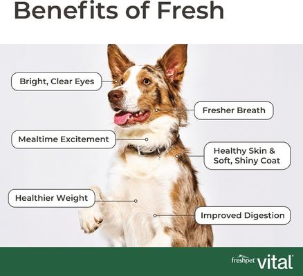 Show full view: Freshpet Vital Benefits Digestive Health Fresh Dog Food, 1.5-lb bag, case of 4 slide 8 of 10