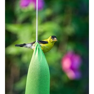 Mr. Canary Co. Pair of Socks Finch Sock Feeders, Green, 12-oz, 2 count