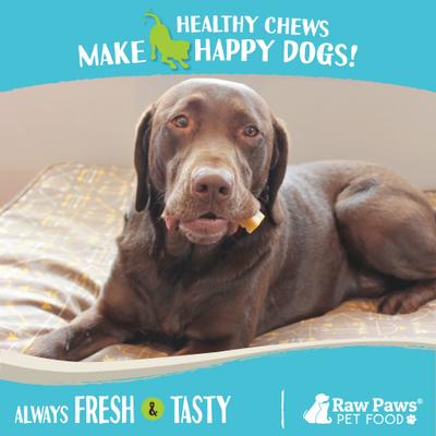 Show full view: Raw Paws Himalayan Yak Dog Chews, Medium, 3 count slide 7 of 9