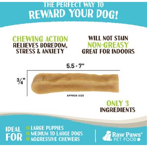 Raw Paws Himalayan Yak Dog Chews, Large, 4 count