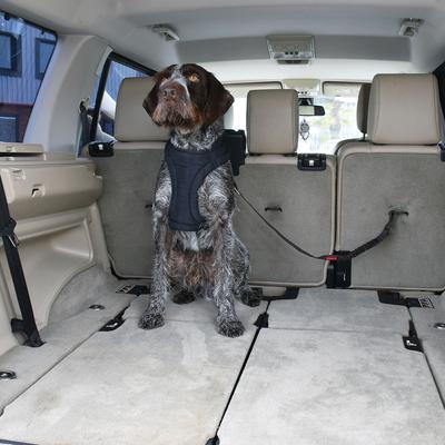 Show full view: KONG Cargo Swivel Dog Car Tether slide 4 of 9