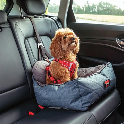KONG KONG Ultimate Safety Tether & Seat
