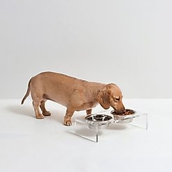 Hiddin Small Clear Double Dog Bowl, Silver, 1.5-cup