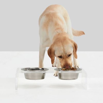 Hiddin Hiddin Small Clear Double Dog Bowl, Silver, 3.5-cup