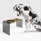 Show in main carousel: Hiddin Tall Smoke Grey Elevated Dog Bowl Feeder, Gold, 6.5-cup slide 2 of 8