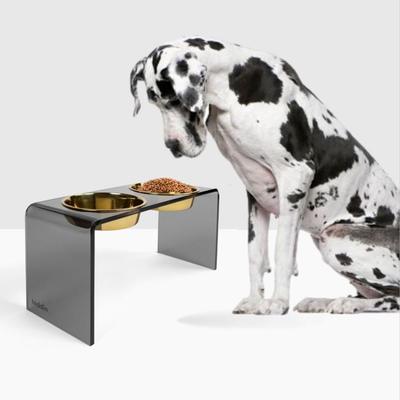 Show full view: Hiddin Tall Smoke Grey Elevated Dog Bowl Feeder, Gold, 6.5-cup slide 2 of 8