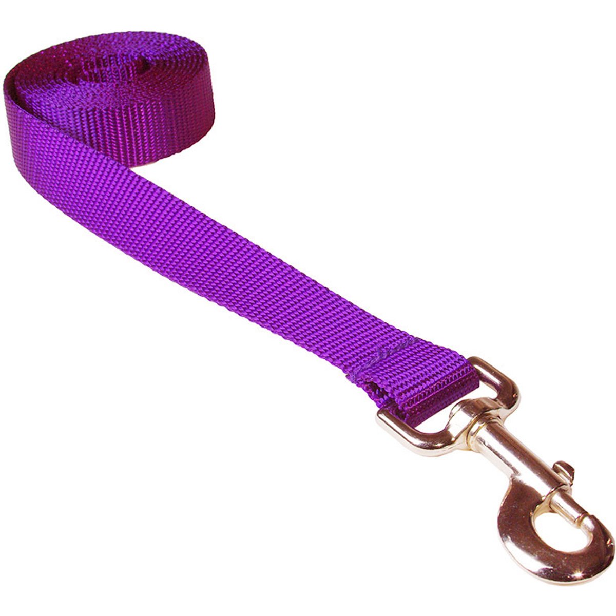 Sassy Dog Wear Nylon Webbing Dog Leash, Purple, Medium: 3/4-in wide, 6-ft long