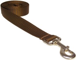 Sassy Dog Wear Nylon Webbing Dog Leash, Brown, Small: 3/4-in wide, 4-ft long