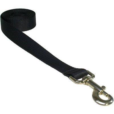 Sassy Dog Wear Sassy Dog Wear Nylon Webbing Dog Leash, Black, Medium: 3/4-in wide, 6-ft long