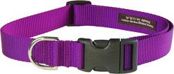 Sassy Dog Wear Nylon Webbing Dog Collar, Purple, Large: 1-in wide, Adjusts 18-28-in