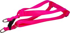 Sassy Dog Wear Neon Nylon Webbing Dog Harness, Pink, Large: 1-in wide, Adjusts 23-35-in