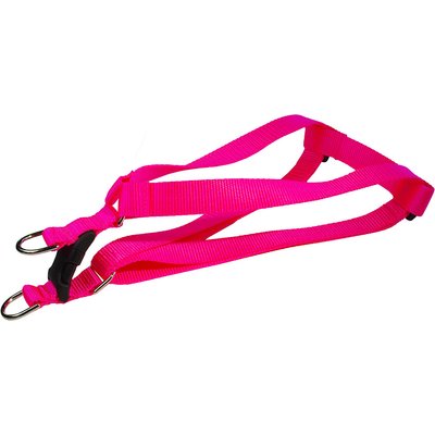 Sassy Dog Wear Sassy Dog Wear Neon Nylon Webbing Dog Harness, Pink, X-Small: 1/2-in wide, Adjusts 8-16-in