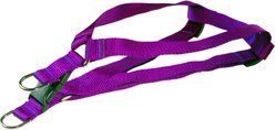 Sassy Dog Wear Nylon Webbing Dog Harness, Purple, Large: 1-in wide, Adjusts 23-35-in