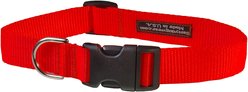 Sassy Dog Wear Neon Nylon Webbing Dog Collar, Orange, Large: 1-in wide, Adjusts 18-28-in