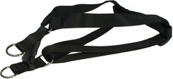 Sassy Dog Wear Nylon Webbing Dog Harness, Black, Large: 1-in wide, Adjusts 23-35-in