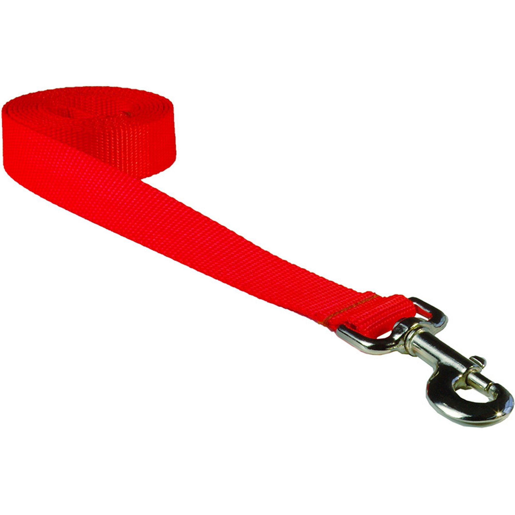 Sassy Dog Wear Neon Nylon Webbing Dog Leash, Orange, Medium: 3/4-in wide, 6-ft long