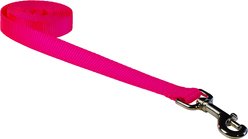 Sassy Dog Wear Neon Nylon Webbing Dog Leash, Pink, Small: 3/4-in wide, 4-ft long