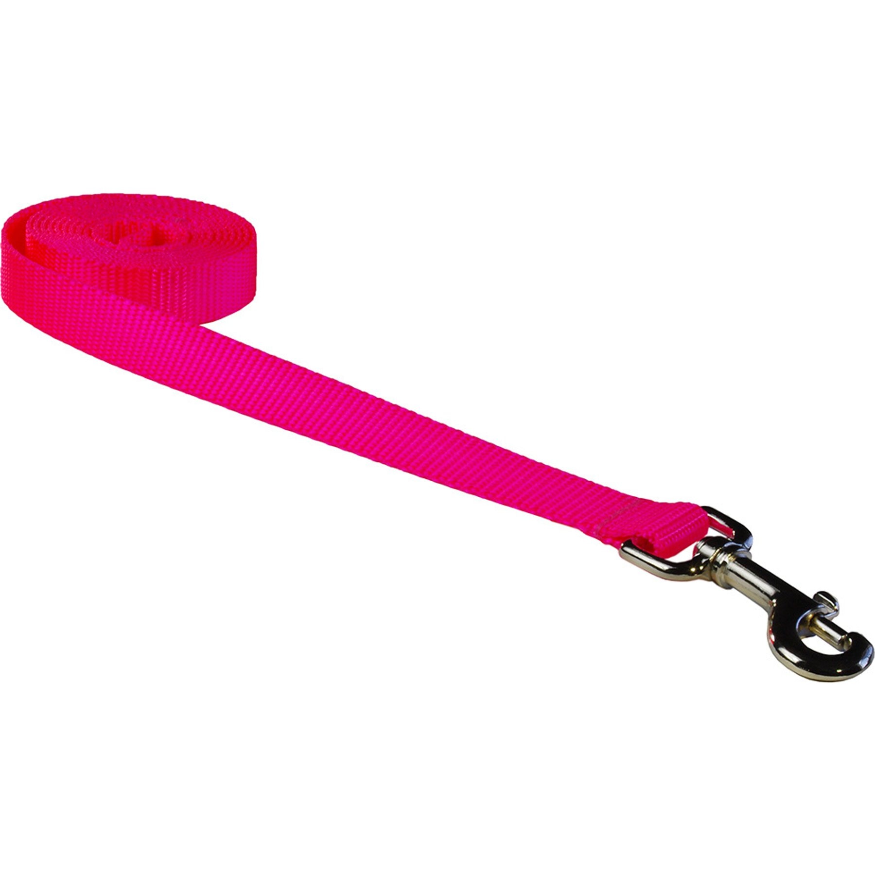 Sassy Dog Wear Neon Nylon Webbing Dog Leash, Pink, X-Small: 1/2-in wide, 4-ft long