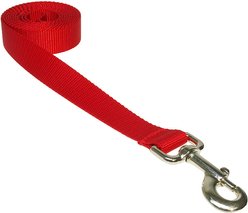 Sassy Dog Wear Nylon Webbing Dog Leash, Red, Small: 3/4-in wide, 4-ft long