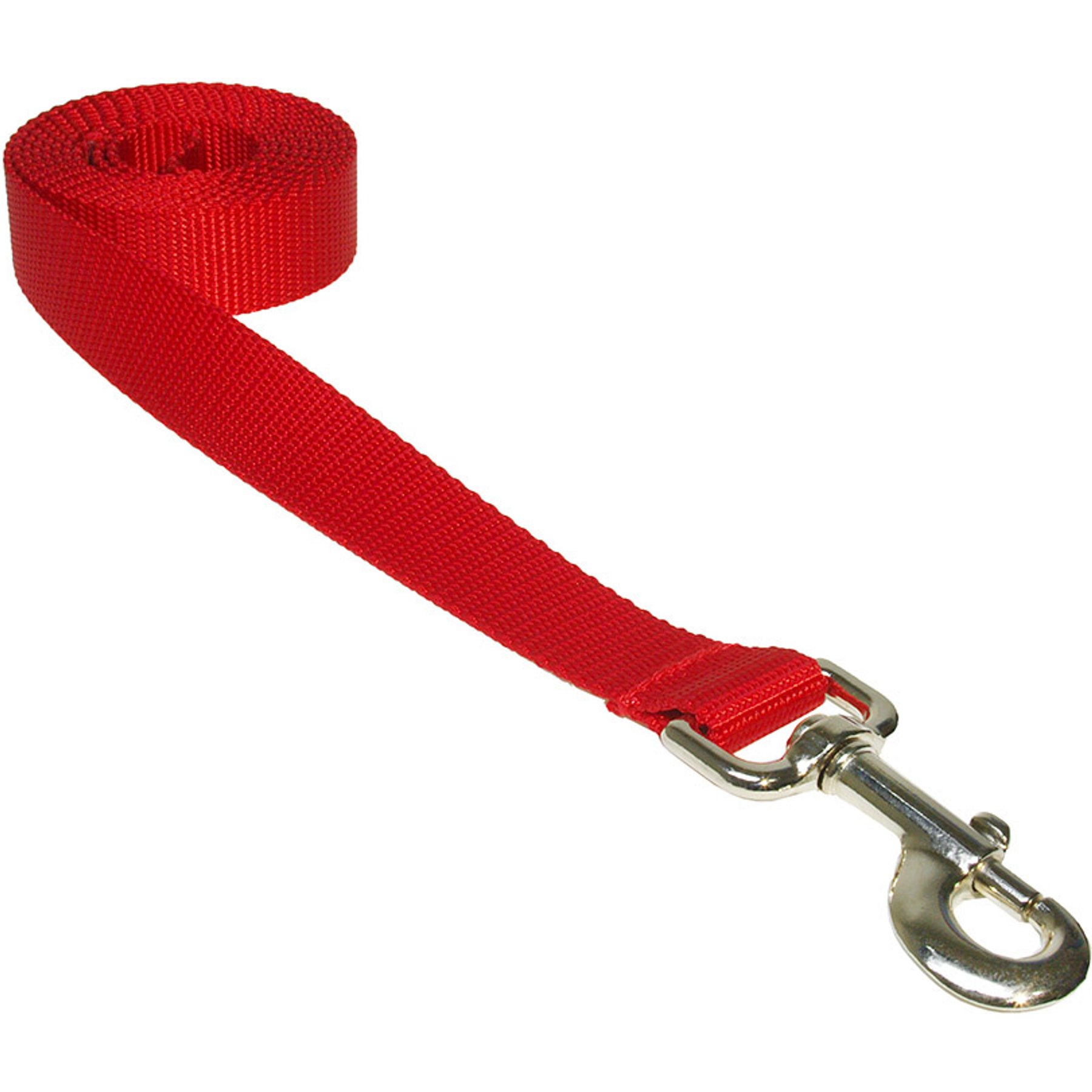 Sassy Dog Wear Nylon Webbing Dog Leash, Red, Small: 3/4-in wide, 4-ft long