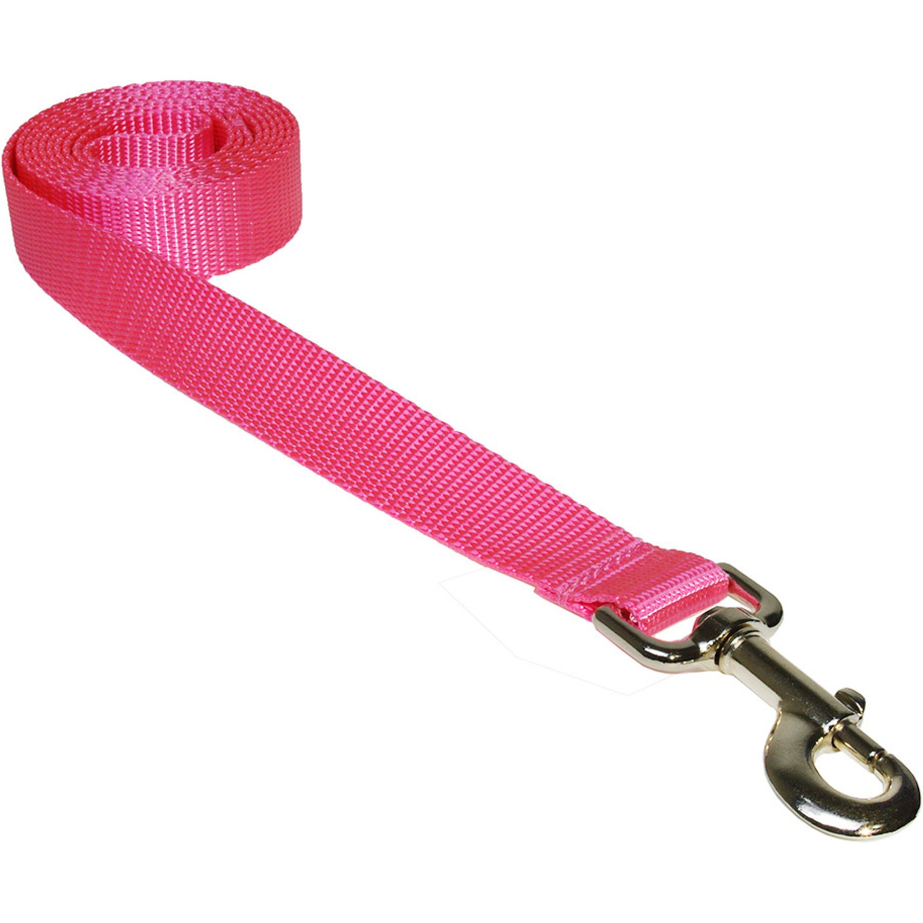 Sassy Dog Wear Nylon Webbing Dog Leash, Pink, Medium: 3/4-in wide, 6-ft long