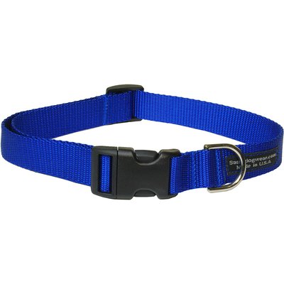 Sassy Dog Wear Sassy Dog Wear Nylon Webbing Dog Collar, Blue, Small: 5/8-in wide, Adjusts 10-14-in
