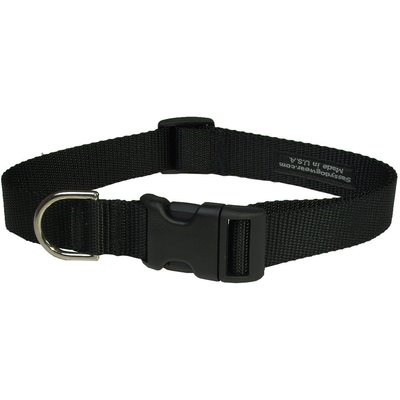 Sassy Dog Wear Sassy Dog Wear Nylon Webbing Dog Collar, Black, Large: 1-in wide, Adjusts 18-28-in