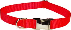 Sassy Dog Wear Neon Aluminum Buckles Dog Collar, Orange, Small: 5/8-in wide, Adjusts 10-14-in