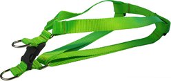 Sassy Dog Wear Neon Nylon Webbing Dog Harness, Green, Large: 1-in wide, Adjusts 23-35-in