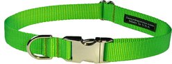 Sassy Dog Wear Neon Aluminum Buckles Dog Collar, Green, Small: 5/8-in wide, Adjusts 10-14-in