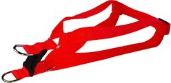 Sassy Dog Wear Neon Nylon Webbing Dog Harness, Orange, Large: 1-in wide, Adjusts 23-35-in