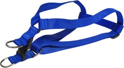 Sassy Dog Wear Nylon Webbing Dog Harness, Blue, Large: 1-in wide, Adjusts 23-35-in