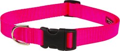 Sassy Dog Wear Neon Nylon Webbing Dog Collar, Pink, Large: 1-in wide, Adjusts 18-28-in