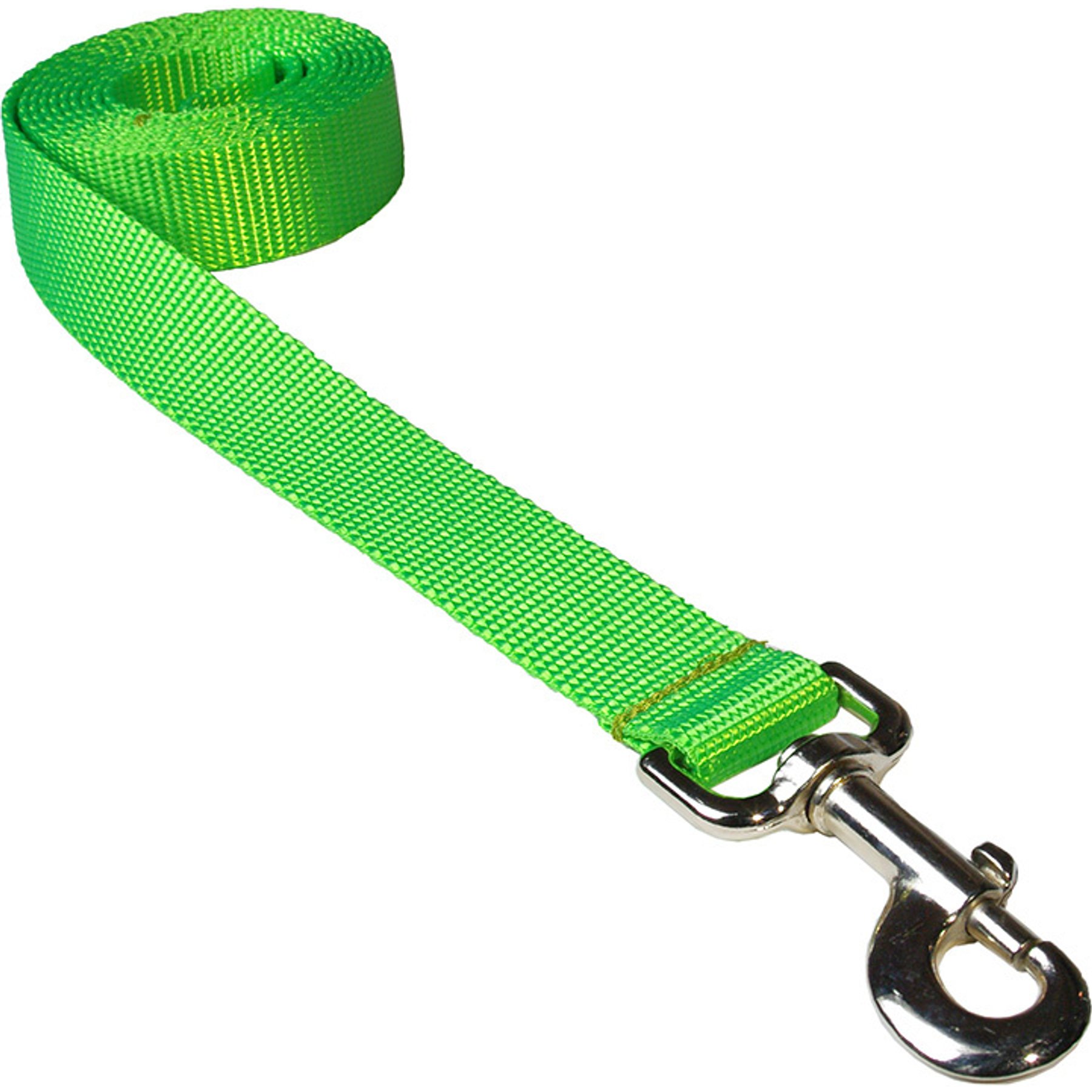 Sassy Dog Wear Neon Nylon Webbing Dog Leash, Green, Small: 3/4-in wide, 4-ft long